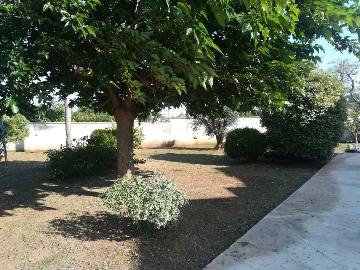 Il Giardino Degli Ulivi Bed & Breakfast กาลาตีนา ภายนอก รูปภาพ